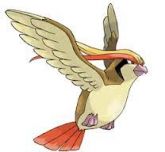 Pidgeot